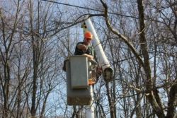 Image depicting the Service Tree Evaluation & Risk Assessment